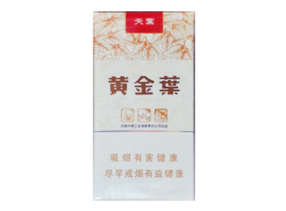 国宾香烟价格