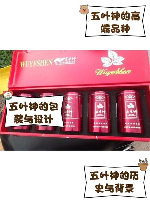 越南代工五叶神香烟多少钱一条(五叶神香烟价格表大全叶)
